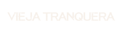 logo vt